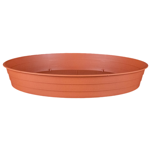 terra-viragalatet-24cm
